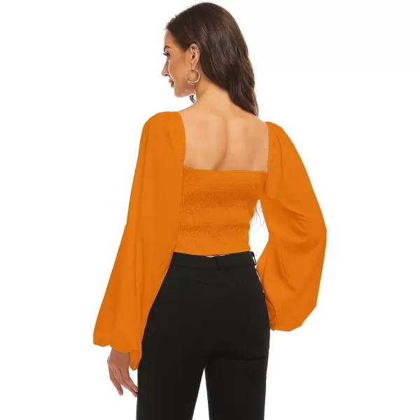 LYANER Women's Tie Knot Front Shirred Back Lantern Long Sleeve Crop Blouse Tee Top