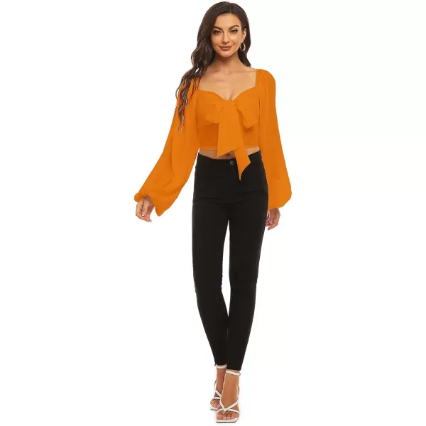 LYANER Women's Tie Knot Front Shirred Back Lantern Long Sleeve Crop Blouse Tee Top