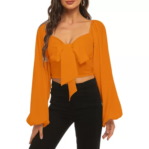 LYANER Women's Tie Knot Front Shirred Back Lantern Long Sleeve Crop Blouse Tee Top