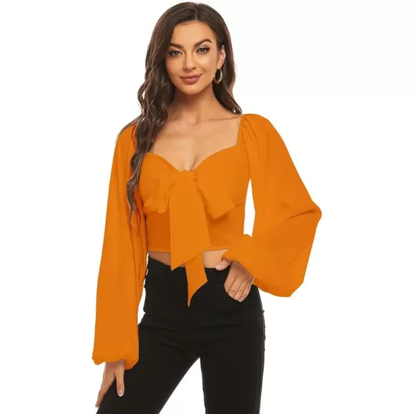 LYANER Women's Tie Knot Front Shirred Back Lantern Long Sleeve Crop Blouse Tee Top