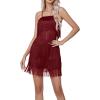 imageLYANER Womens Sexy Two Piece Outfit Fringe Sleeveless Cami and Short Skirt SetsBurgundy