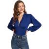 imageLYANER Womens Lace Trim V Neck Puff Long Sleeve Leotard Bodysuit TopsBlue