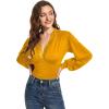 imageLYANER Womens Lace Trim V Neck Puff Long Sleeve Leotard Bodysuit TopsGinger