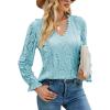 imageLYANER Womens Elegant Lace V Neck Lined Long Sleeve Tunic Blouse Shirt TopLight Blue
