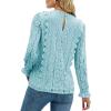 imageLYANER Womens Elegant Lace V Neck Lined Long Sleeve Tunic Blouse Shirt TopLight Blue