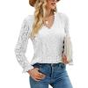 imageLYANER Womens Elegant Lace V Neck Lined Long Sleeve Tunic Blouse Shirt TopPure White