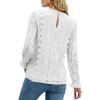imageLYANER Womens Elegant Lace V Neck Lined Long Sleeve Tunic Blouse Shirt TopPure White