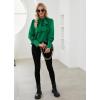 imageLYANER Womens Elegant Bow Tie Mock Neck Bow Knot Long Sleeve Work Office Satin Blouse Silk Shirt TopPure Green
