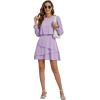 imageLYANER Womens Casual Crewneck Long Sleeve Layered Ruffle Hem A Line Mini DressLilac