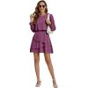 imageLYANER Womens Casual Crewneck Long Sleeve Layered Ruffle Hem A Line Mini DressPurple