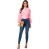 imageLYANER Womens Casual Mesh Sleeve Shirts Elegant Blouse Spring TopsPink