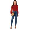 imageLYANER Womens Mesh Long Sleeve Shirts Mock Neck Fall Winter Casual Blouse TopsRed