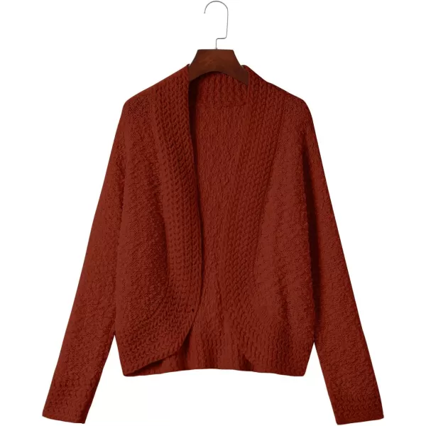imagePRETTYGARDEN Open Front Fall Sweaters for Women 2023 Popcorn Long Sleeve Cardigan Knit Oversized Sherpa Sweater CoatBrick Red