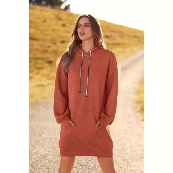 imagePRETTYGARDEN Womens 2023 Fall Fashion Quilted Hooded Sweatshirts Casual Long Sleeve Pullover Hoodie DressBrick Red