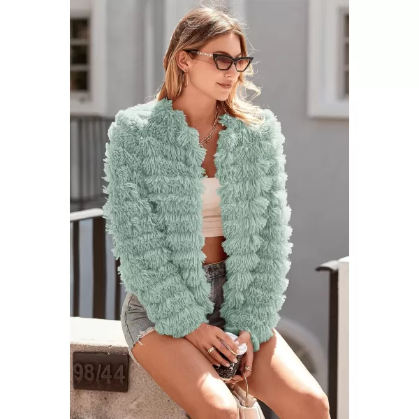imagePRETTYGARDEN Womens 2023 Winter Coats Fashion Faux Fur Long Sleeve Fleece Shaggy Lightweight Fall Cropped Jacket OuterwearFruit Green