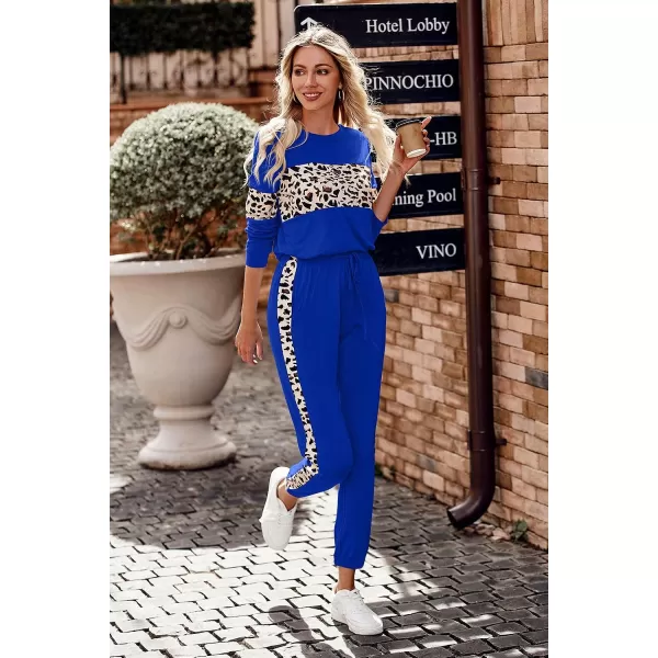 imagePRETTYGARDEN Womens Color Block 2 Piece Tracksuit Crewneck Long Sleeve Tops Long Sweatpants Outfits Lounge SetsLeopard Blue