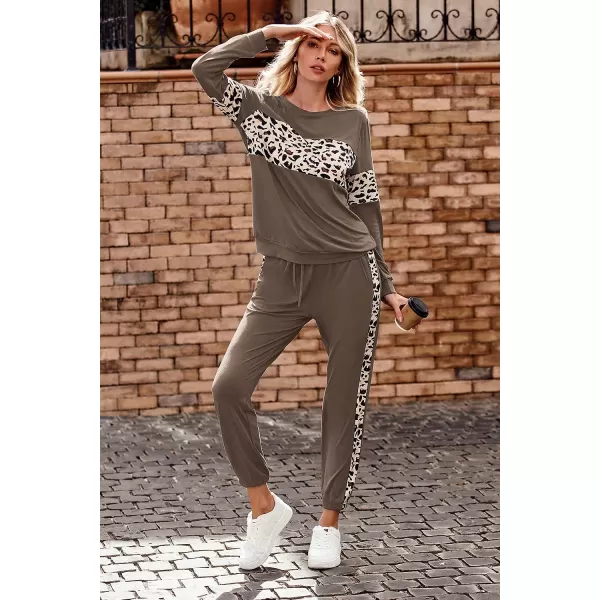 imagePRETTYGARDEN Womens Color Block 2 Piece Tracksuit Crewneck Long Sleeve Tops Long Sweatpants Outfits Lounge SetsLeopard Dark Khaki