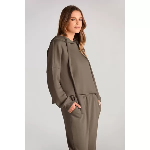 imagePRETTYGARDEN Womens Fall Two Piece Outfits Sweatsuits Set Long Sleeve Hoodies Sweatshirt Pullover Sweatpants Y2K TracksuitsArmy Green