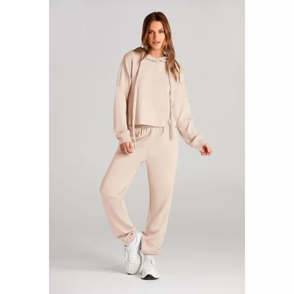 imagePRETTYGARDEN Womens Fall Two Piece Outfits Sweatsuits Set Long Sleeve Hoodies Sweatshirt Pullover Sweatpants Y2K TracksuitsBeige
