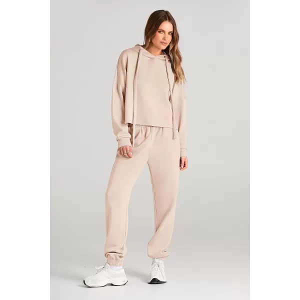 imagePRETTYGARDEN Womens Fall Two Piece Outfits Sweatsuits Set Long Sleeve Hoodies Sweatshirt Pullover Sweatpants Y2K TracksuitsBeige