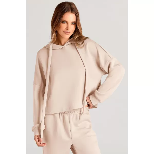 imagePRETTYGARDEN Womens Fall Two Piece Outfits Sweatsuits Set Long Sleeve Hoodies Sweatshirt Pullover Sweatpants Y2K TracksuitsBeige