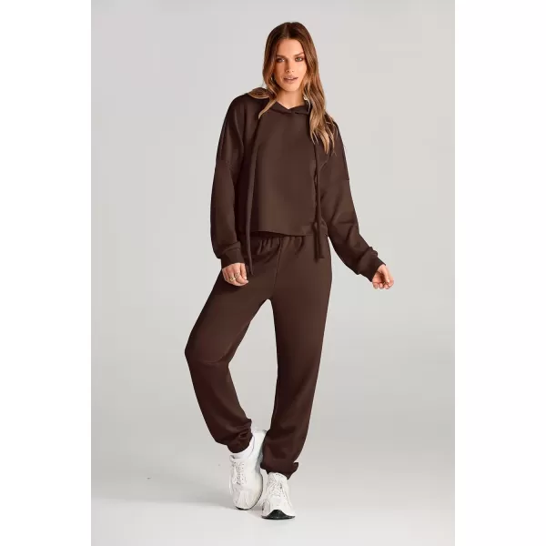 imagePRETTYGARDEN Womens Fall Two Piece Outfits Sweatsuits Set Long Sleeve Hoodies Sweatshirt Pullover Sweatpants Y2K TracksuitsCoffee