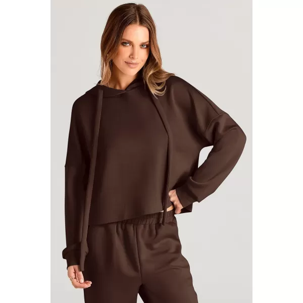 imagePRETTYGARDEN Womens Fall Two Piece Outfits Sweatsuits Set Long Sleeve Hoodies Sweatshirt Pullover Sweatpants Y2K TracksuitsCoffee