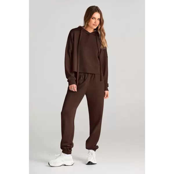 imagePRETTYGARDEN Womens Fall Two Piece Outfits Sweatsuits Set Long Sleeve Hoodies Sweatshirt Pullover Sweatpants Y2K TracksuitsCoffee