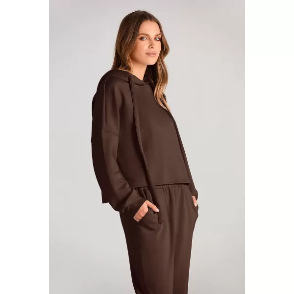 imagePRETTYGARDEN Womens Fall Two Piece Outfits Sweatsuits Set Long Sleeve Hoodies Sweatshirt Pullover Sweatpants Y2K TracksuitsCoffee