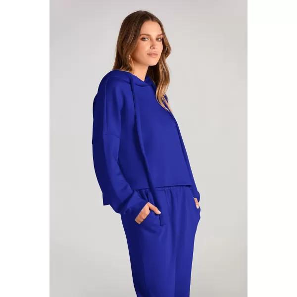 imagePRETTYGARDEN Womens Fall Two Piece Outfits Sweatsuits Set Long Sleeve Hoodies Sweatshirt Pullover Sweatpants Y2K TracksuitsRoyal Blue