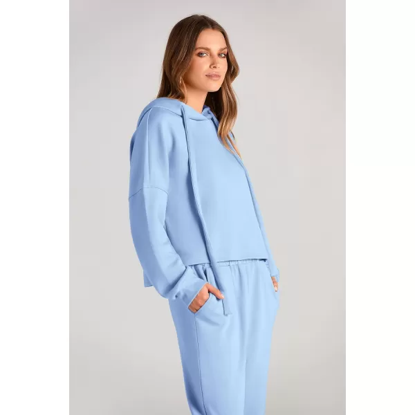 imagePRETTYGARDEN Womens Fall Two Piece Outfits Sweatsuits Set Long Sleeve Hoodies Sweatshirt Pullover Sweatpants Y2K TracksuitsSky Blue