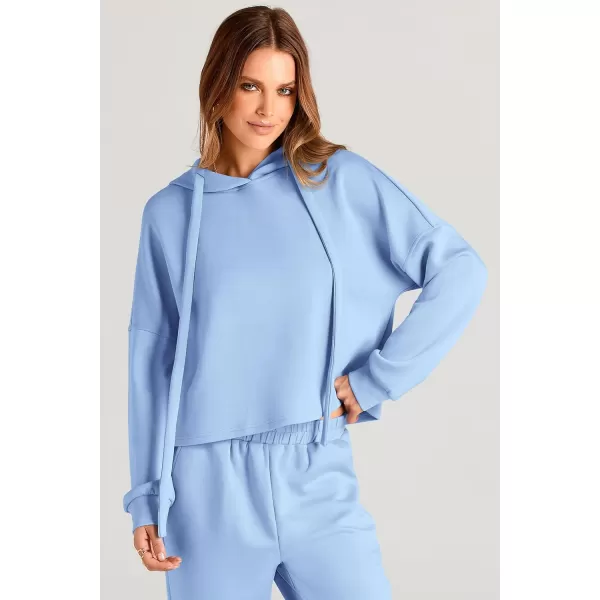imagePRETTYGARDEN Womens Fall Two Piece Outfits Sweatsuits Set Long Sleeve Hoodies Sweatshirt Pullover Sweatpants Y2K TracksuitsSky Blue