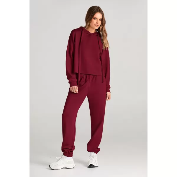 imagePRETTYGARDEN Womens Fall Two Piece Outfits Sweatsuits Set Long Sleeve Hoodies Sweatshirt Pullover Sweatpants Y2K TracksuitsWine Red