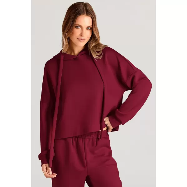 imagePRETTYGARDEN Womens Fall Two Piece Outfits Sweatsuits Set Long Sleeve Hoodies Sweatshirt Pullover Sweatpants Y2K TracksuitsWine Red