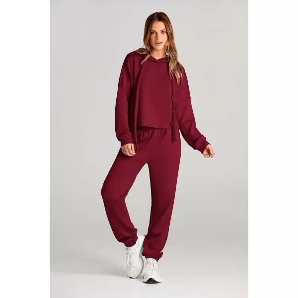 imagePRETTYGARDEN Womens Fall Two Piece Outfits Sweatsuits Set Long Sleeve Hoodies Sweatshirt Pullover Sweatpants Y2K TracksuitsWine Red