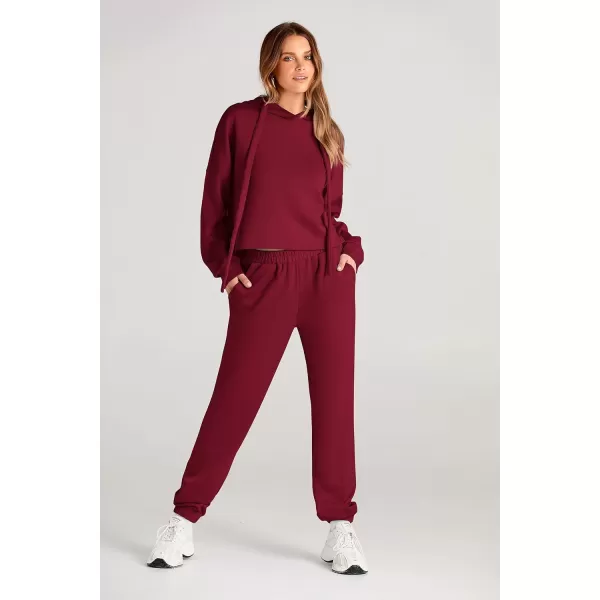 imagePRETTYGARDEN Womens Fall Two Piece Outfits Sweatsuits Set Long Sleeve Hoodies Sweatshirt Pullover Sweatpants Y2K TracksuitsWine Red