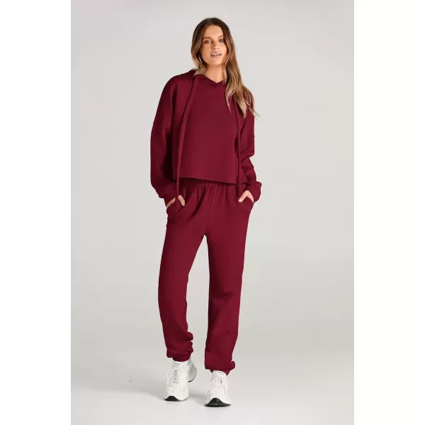 imagePRETTYGARDEN Womens Fall Two Piece Outfits Sweatsuits Set Long Sleeve Hoodies Sweatshirt Pullover Sweatpants Y2K TracksuitsWine Red
