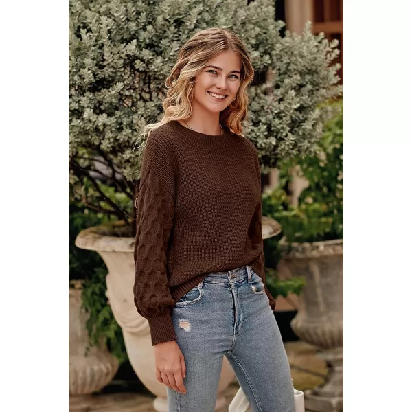 imagePRETTYGARDEN Womens Pullover Sweater Casual Long Sleeve Crewneck Loose Chunky Knit Jumper TopsCoffee