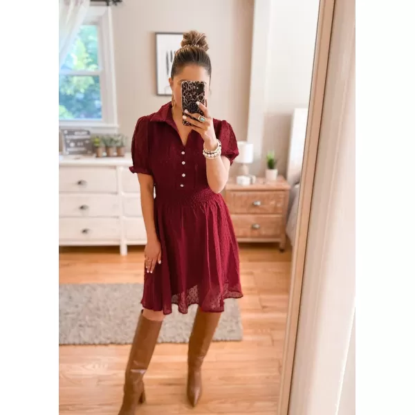 imagePRETTYGARDEN Womens Summer Dress Casual V Neck Short Sleeve Swiss Dots Elastic Waist Aline Flowy Mini DressesBurgundy