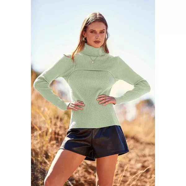 imagePRETTYGARDEN Womens Turtleneck Knit Sweater Long Sleeve Soft Classic Fit Pullover TopsGreen