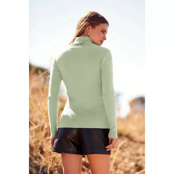imagePRETTYGARDEN Womens Turtleneck Knit Sweater Long Sleeve Soft Classic Fit Pullover TopsGreen