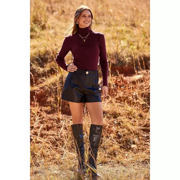imagePRETTYGARDEN Womens Turtleneck Knit Sweater Long Sleeve Soft Classic Fit Pullover TopsWine Red
