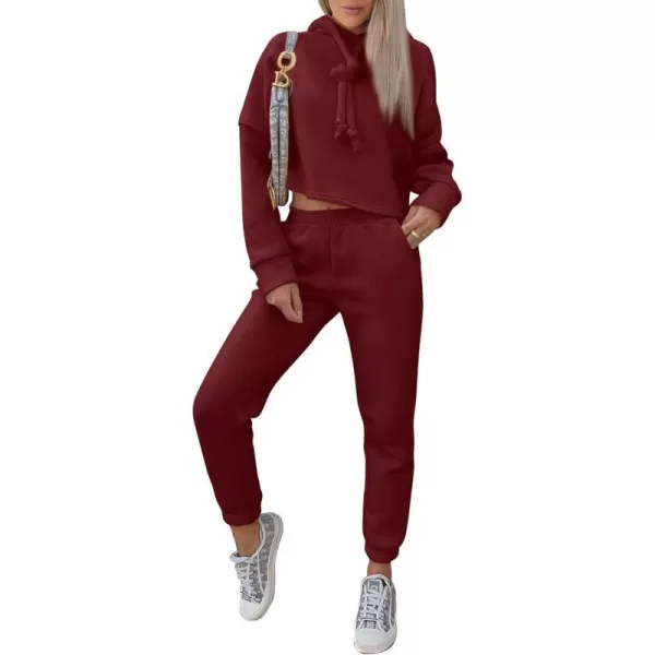 imagePRETTYGARDEN Womens Fall Two Piece Outfits Sweatsuits Set Long Sleeve Hoodies Sweatshirt Pullover Sweatpants Y2K TracksuitsWine Red