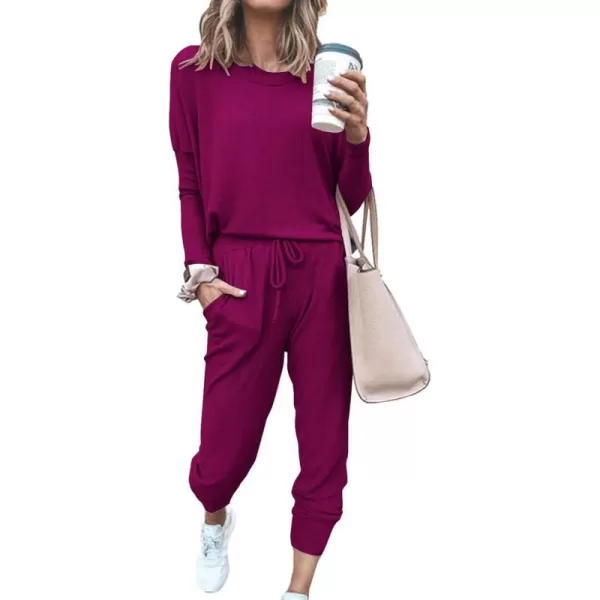 imagePRETTYGARDEN Womens Two Piece Outfit Long Sleeve Crewneck Pullover Tops And Long Pants TracksuitPurple