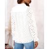imagePRETTYGARDEN Womens Dressy Casual Blouse Tops Fall Spring Puff Long Sleeve Button V Neck Hollow Out Lace Embroidered ShirtsWhite