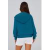imagePRETTYGARDEN Womens Zip Up Hoodie Sweatshirt Y2K Fall Fashion Clothes Long Sleeve Loose Fit Pockets Casual Trendy JacketLake Blue