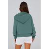imagePRETTYGARDEN Womens Zip Up Hoodie Sweatshirt Y2K Fall Fashion Clothes Long Sleeve Loose Fit Pockets Casual Trendy JacketSage Green