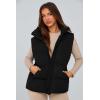 imagePRETTYGARDEN Womens Puffer Jacket Vests Casual Sleeveless Stand Collar Zip Up Coats Warm Winter OuterwearBlack