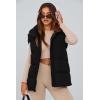 imagePRETTYGARDEN Womens Puffer Jacket Vests Casual Sleeveless Stand Collar Zip Up Coats Warm Winter OuterwearBlack