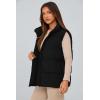 imagePRETTYGARDEN Womens Puffer Jacket Vests Casual Sleeveless Stand Collar Zip Up Coats Warm Winter OuterwearBlack